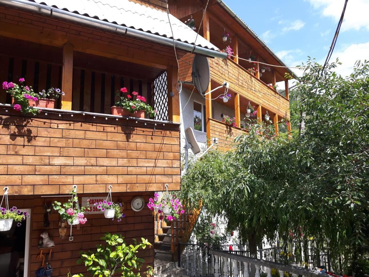 Гостевой дом Casa Manu Roşia Montană-4