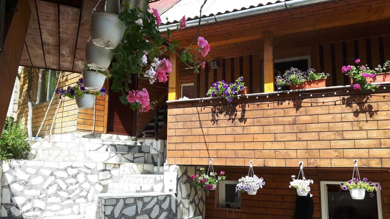 Гостевой дом Casa Manu Roşia Montană-5